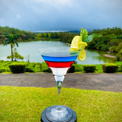 Domaine de Bois Chéri tea plantation in Mauritius