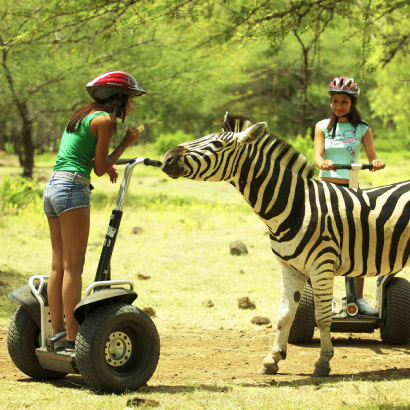 Casela Nature Parks